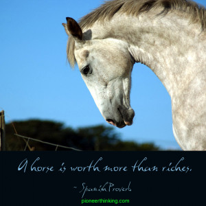 horse is worth more than riches.”