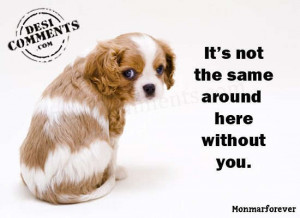 Its not the same around here without you