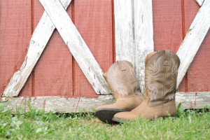 cowboy boots Image