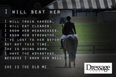 beats events quotes horses equestrian quotes hors quotes equestrian ...