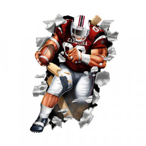 NCAA - South Carolina Gamecocks Football Player Wallcrasher