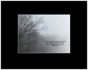 all products tags trees fog mist quote quotation khalil gibran scenery ...