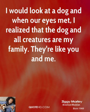 would look at a dog and when our eyes met, I realized that the dog ...