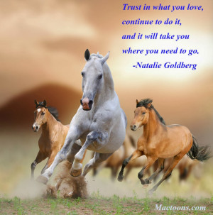 Horse Quotes About Trust To trust all over again.