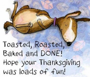 fun thanksgiving happy thanksgiving thanksgiving quotes thanksgiving ...
