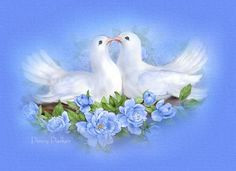 PeacefulDoves&Pigeons