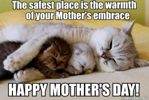 Happy Mother's Day!! (kittens, kitty, tuna, time)
