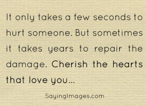 ... takes a few seconds to hurt someone, but years to repair the damage