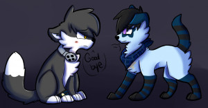 Funny Quotes Contact Us DMCA Notice