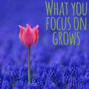 What you #focus on grows #quote