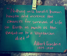 Quotes about Vegetarianism