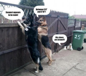 Funny Police Dog