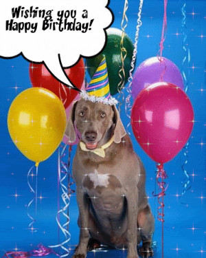 happy-birthday-dog.gif#happy%20birthday%20dogs