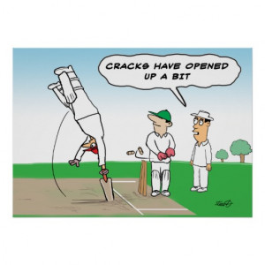 Cricket Wicket - Funny Cricket Print
