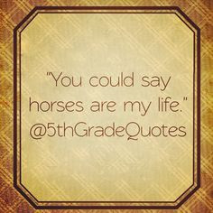 5th Grade Quotes Horses More