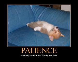 ... patience quotes funny have patience islamic quotes quote patience