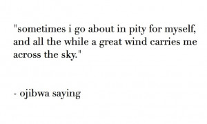... all the while a great wind carries me across the sky. ~ ojibwa saying