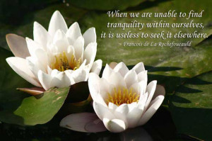 When we are unable to find tranquility within ourselves, it is useless ...
