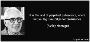 ... , where cultural lag is mistaken for renaissance. - Ashley Montagu