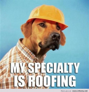 funny valentines day 2013, funny pictures, funny kids, funny photos ...