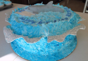 winter the dolphin cake winter the dolphin cake for a 10 yr old who ...