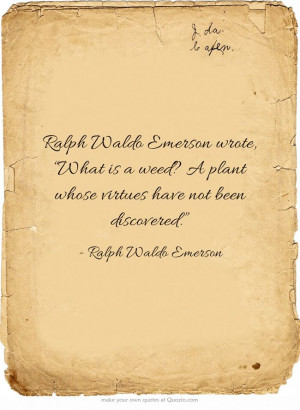 Ralph Waldo Emerson wrote, “What is a weed? A plant whose virtues ...