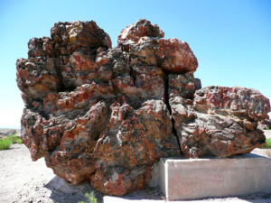 Free Quotes Pics on Whipple Point Painted Desert Petrified Forest