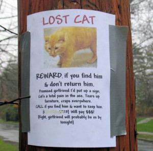 25 Funny Lost and Found Signs