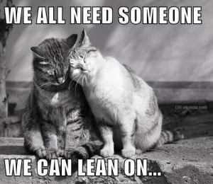 We all need someone we can lean on..