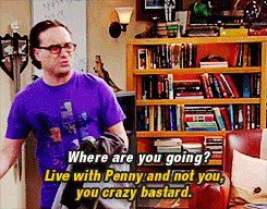 Big Bang Theory sheldon cooper leonard hofstadter Big Bang Theory damn ...