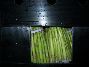 Fresh Asparagus (283), Fresh Tomatoes (2), Fresh Capsicum (15)