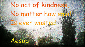 No Act Of Kindness, No Matter How Small, Is Ever Wasted.