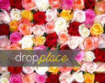 ... Vinyl Backdrop / Valentine's Day Drops / Stop and Smell the Roses