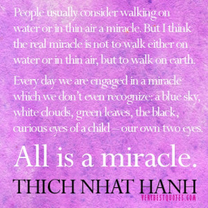... miracle which we don’t even recognize.THICH NHAT HANH quotes miracle