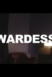 Stewardess (2013) Poster