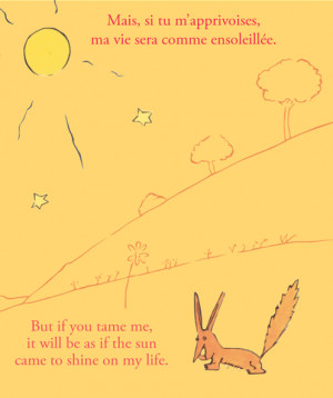 Related Pictures the little prince quote