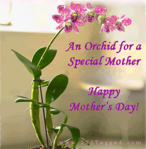 an orchid for a special mother happy mothers day