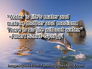 Water Is Life’s Mater And Matrix, Mother And Medium. There Is No ...
