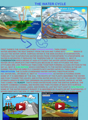 The Water Cycle Source
