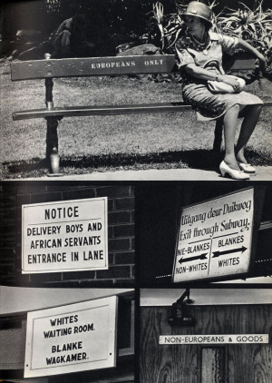 Joseph Lelyveld Pictures