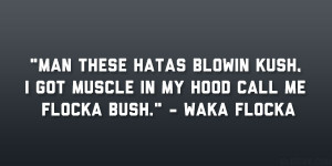 Man these hatas blowin kush, I got muscle in my hood call me Flocka ...