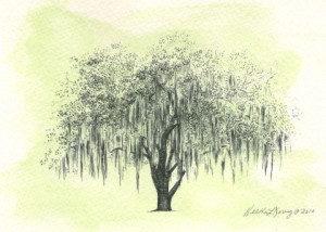 Oak Tree Drawing in Moss Green