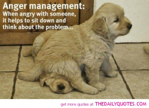 funny_quotes_anger_pic_cute_animal_pictures_quote_pics.jpg.jpg
