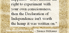 Marijuana Quote by Terence McKenna #2