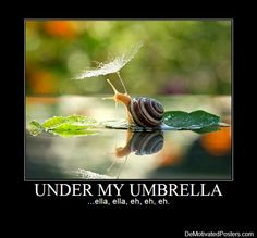 For rainy day humor: All three: UNDER MY UMBRELLA -ella -ella #snail # ...