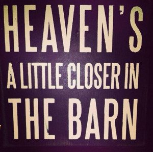 Showing collection [55] for Livestock Quotes Pigs