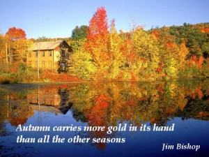Falling for Autumn Quotes.