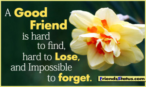 good friend is hard to find fb status