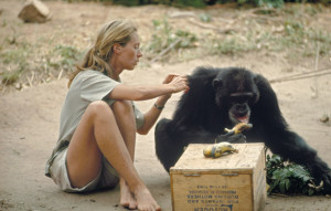 Jane Goodall Welcomes You to the Monkeyhouse!