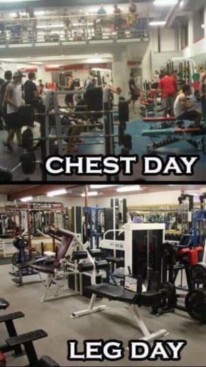 Gym: Chest & Leg Day